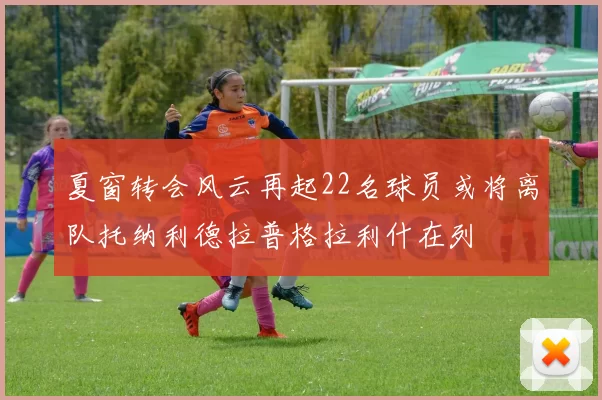 夏窗转会风云再起22名球员或将离队托纳利德拉普格拉利什在列