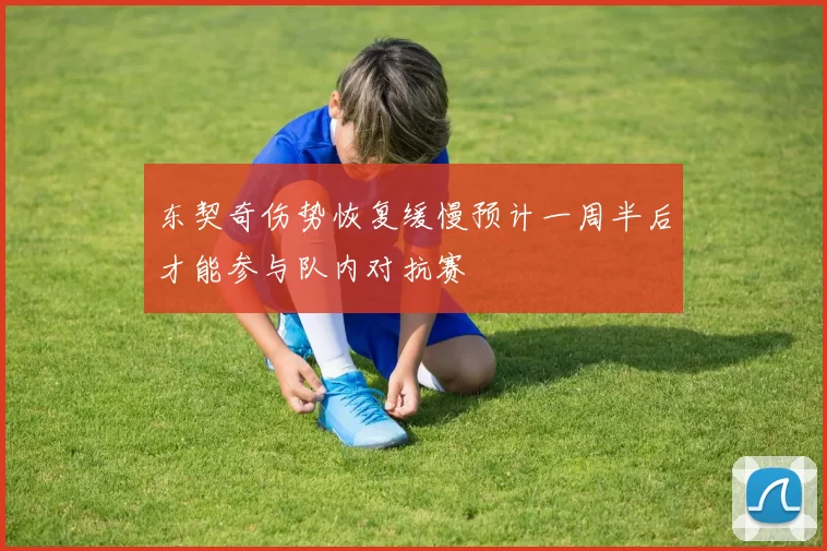 东契奇伤势恢复缓慢预计一周半后才能参与队内对抗赛